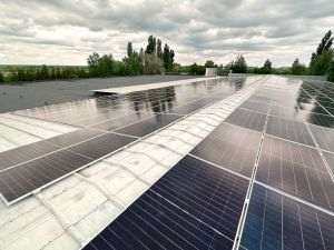 Greenvolt Next finalizează o centrală fotovoltaică cu sistem de stocare pentru Abund Berry, în Buftea
